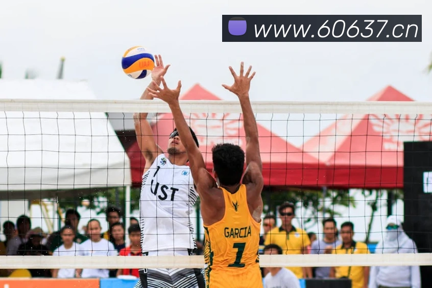 App Interface Preview